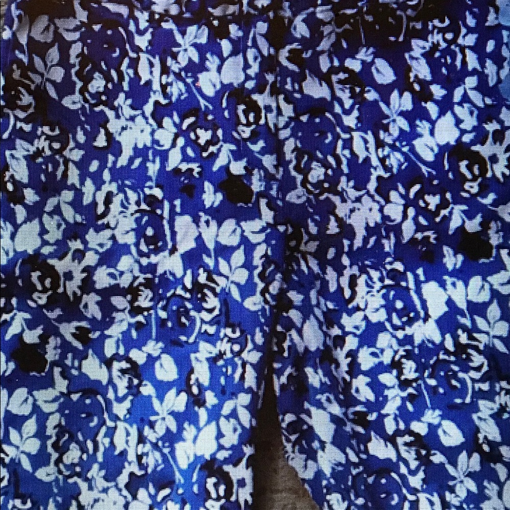 Mario Serrani Italy Golf BlueBermudaShorts SZ 14